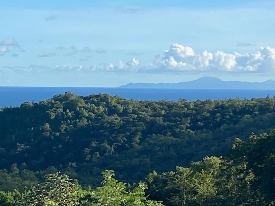 Les Terrasses De Maelle - Jolie Villa F4 Vue Mer Rivière-Salée Kültér fotó